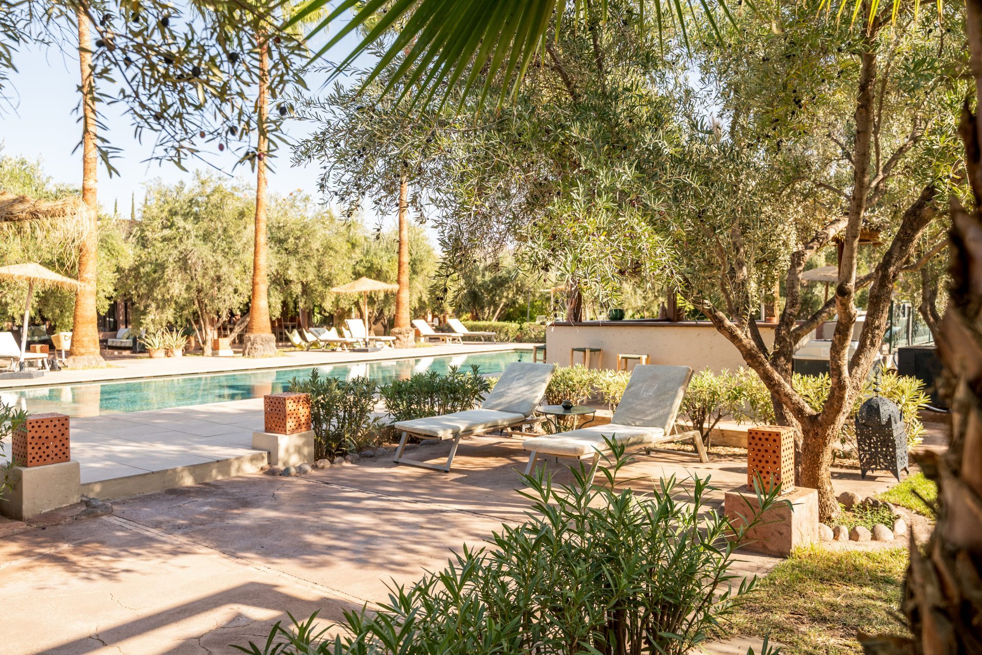 Domaine - Boutique hôtel — photo 4