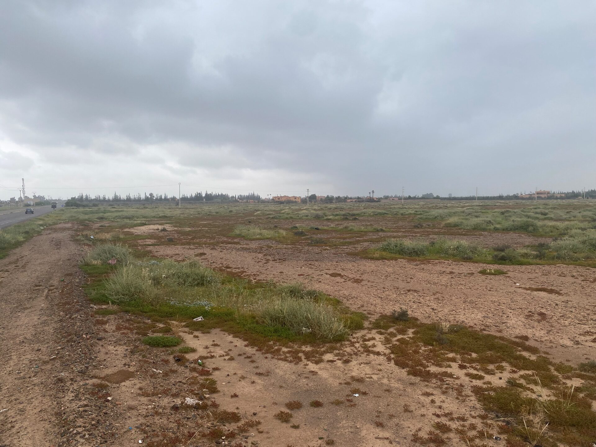 Terrain Premium — photo 2