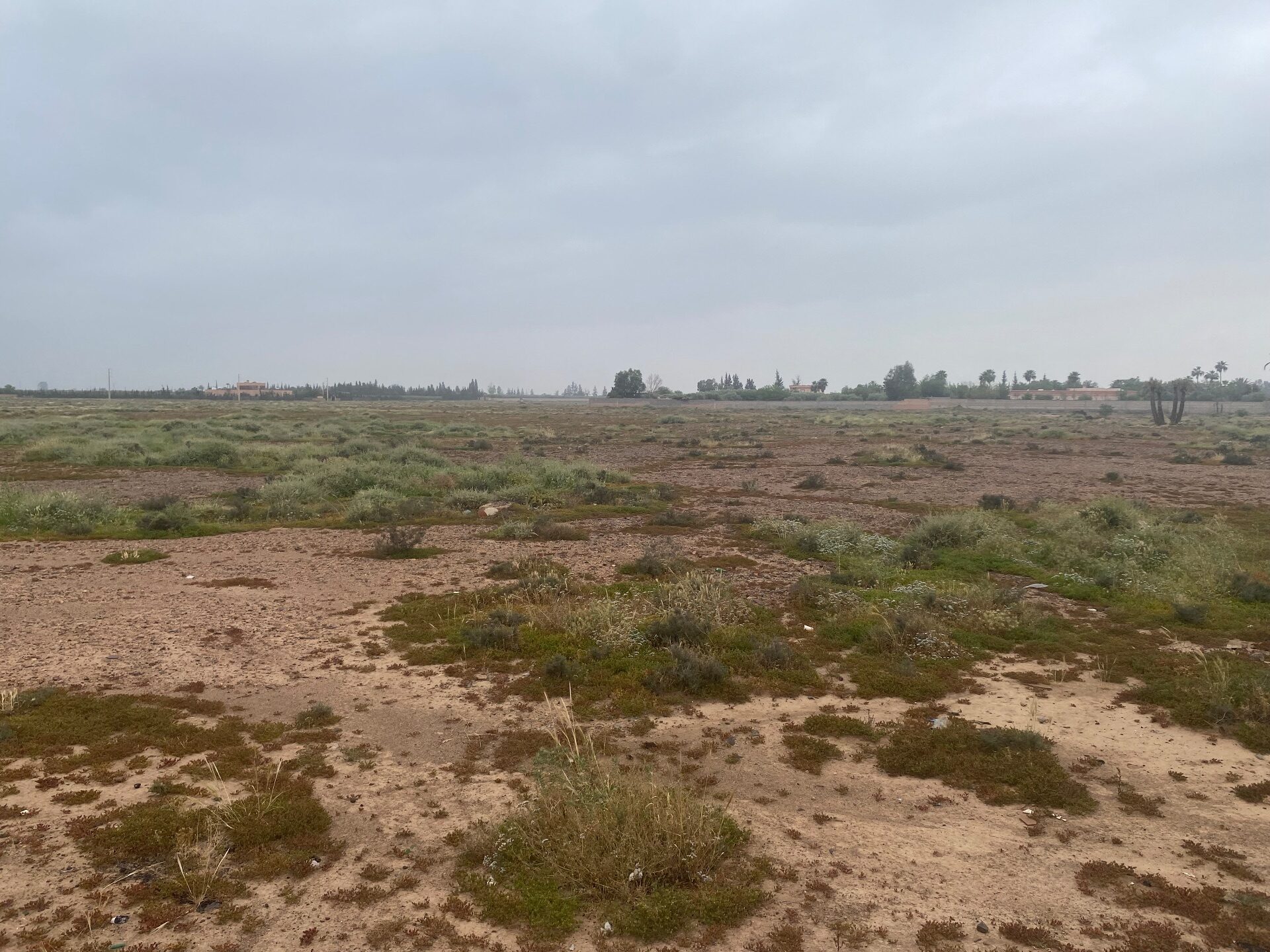 Terrain Premium