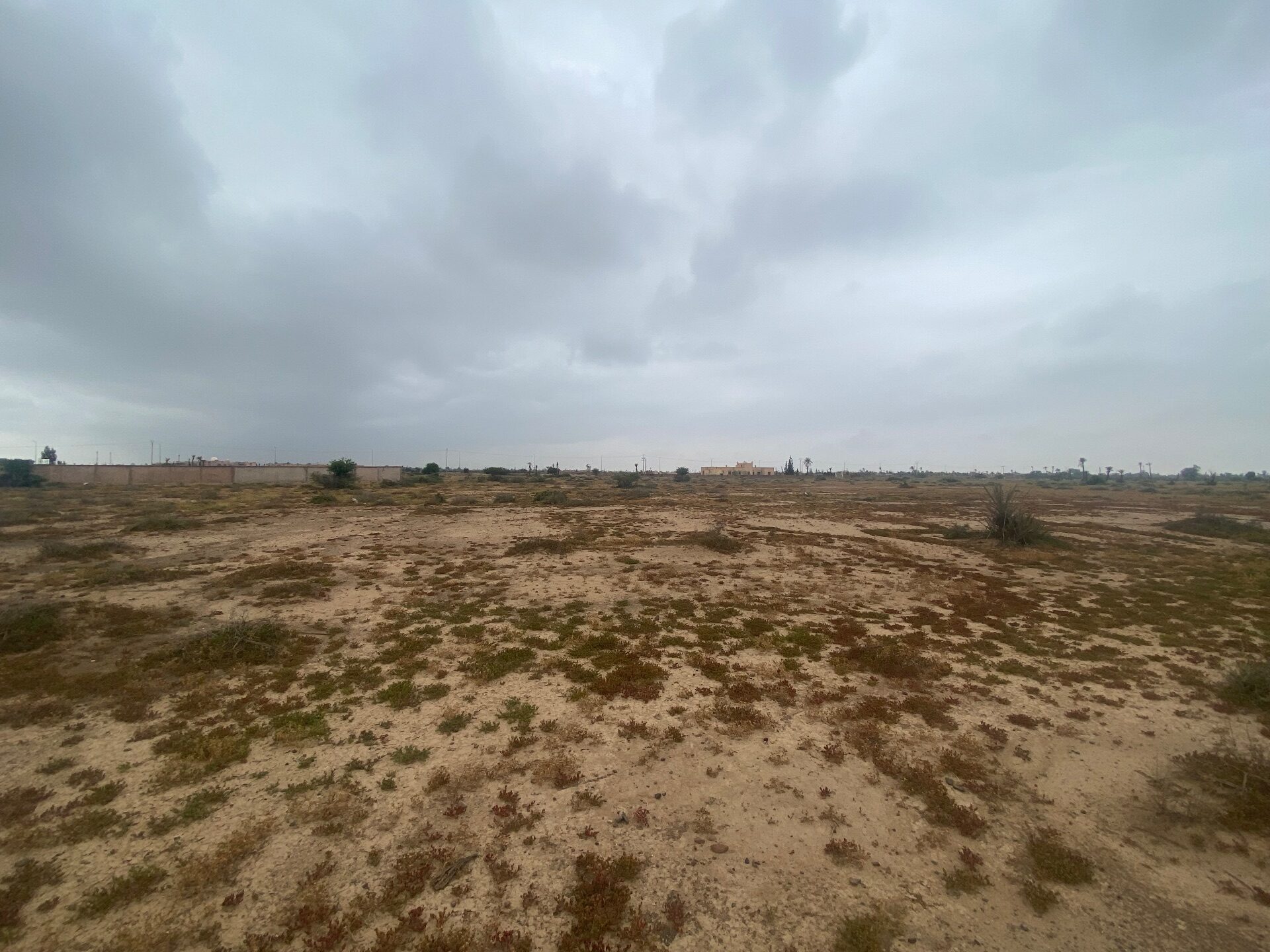 Terrain Premium — photo 3