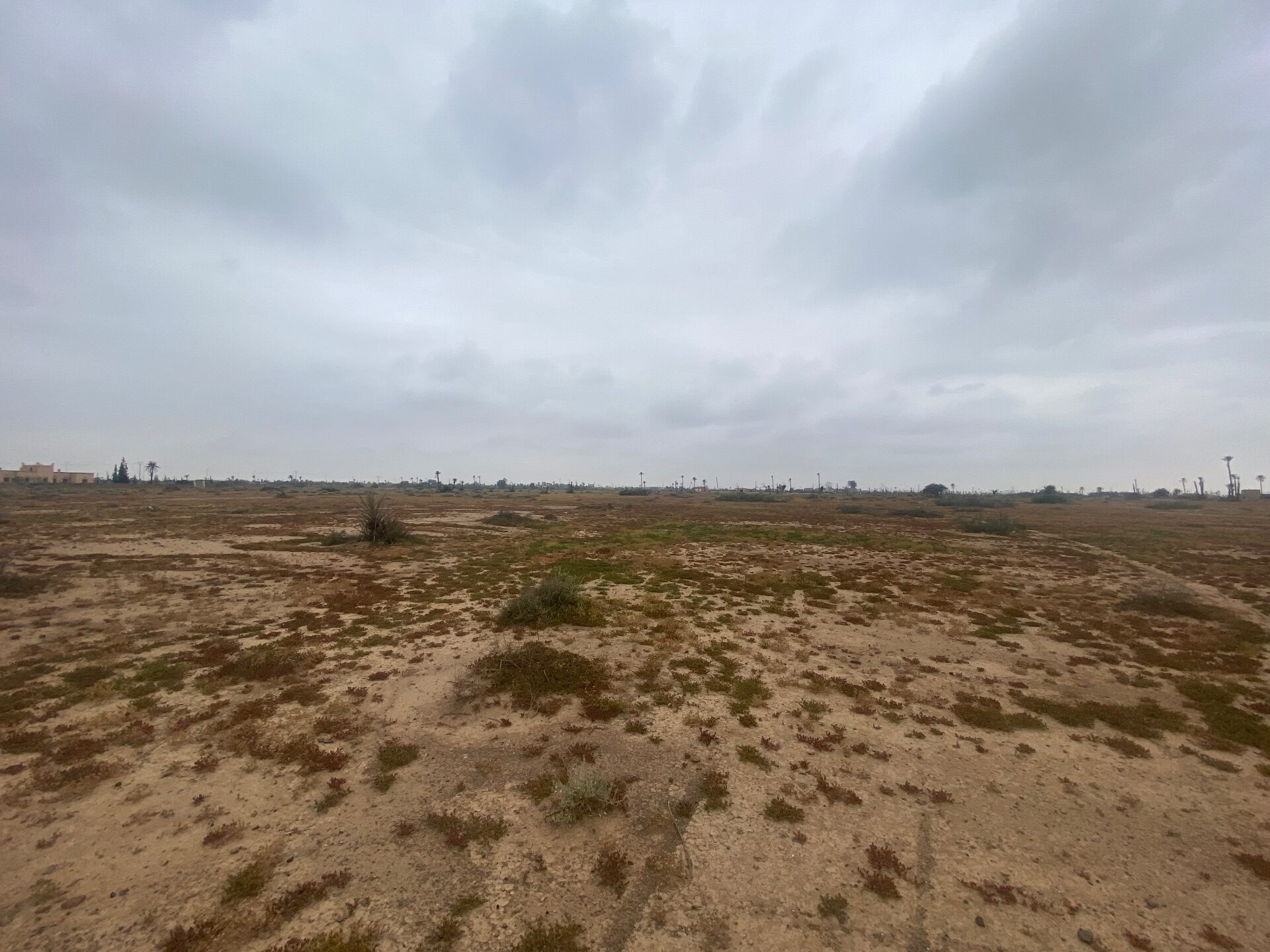 Terrain Premium — photo 4