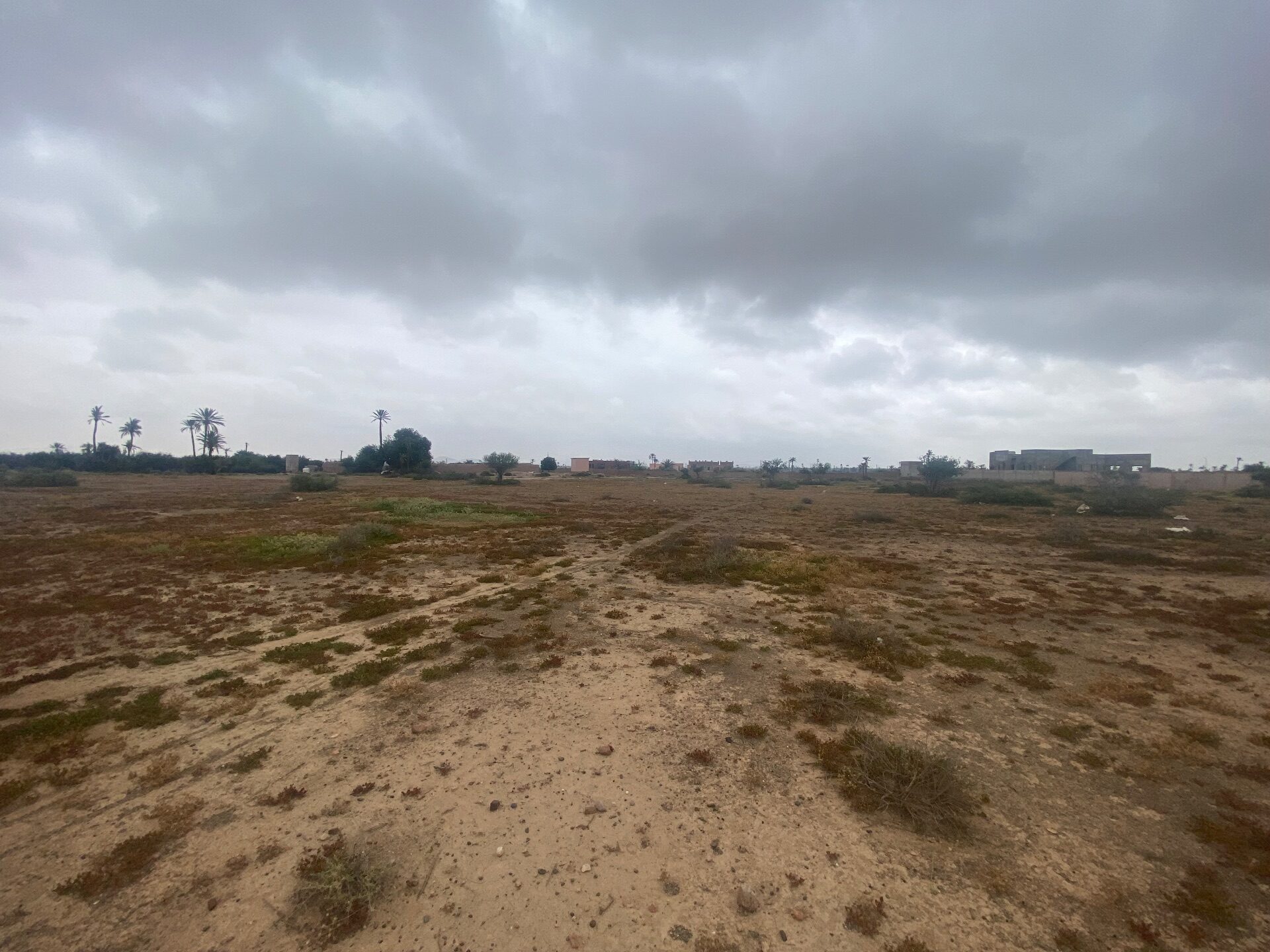 Terrain Premium — photo 6