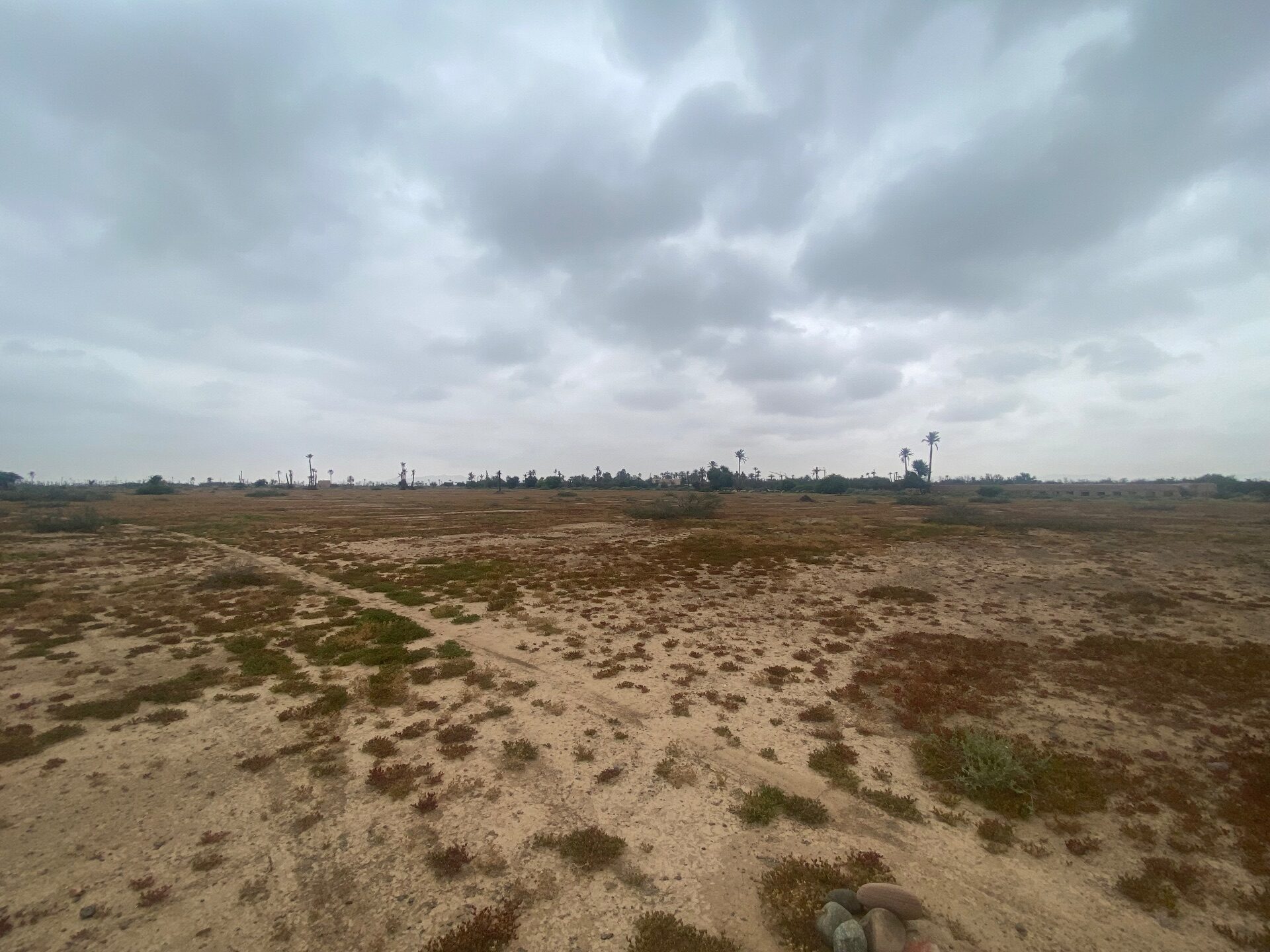 Terrain Premium — photo 5