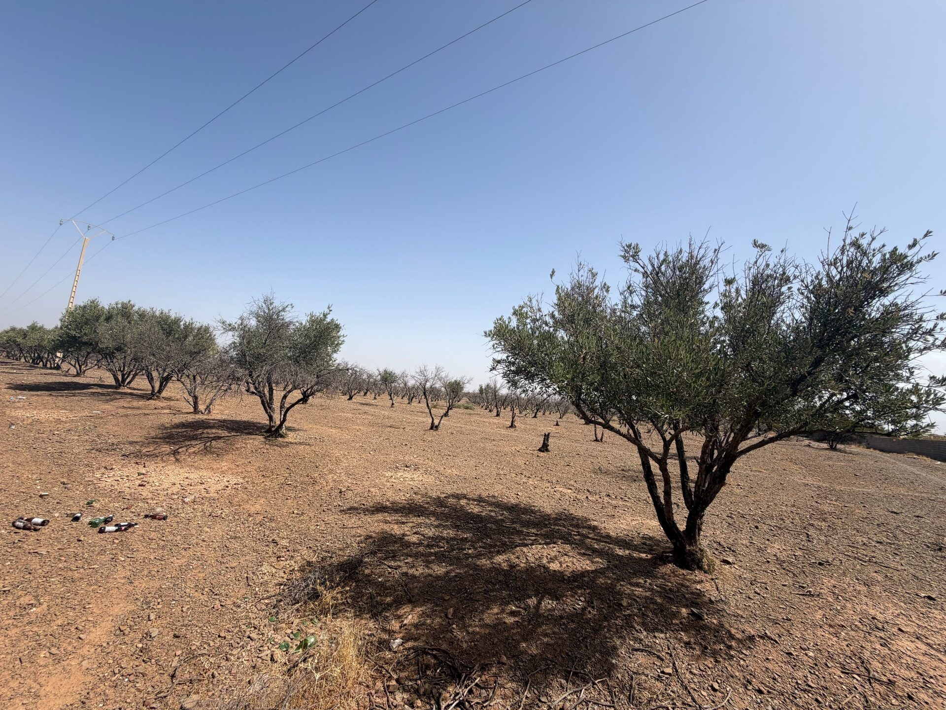 Lots de terrain — photo 2