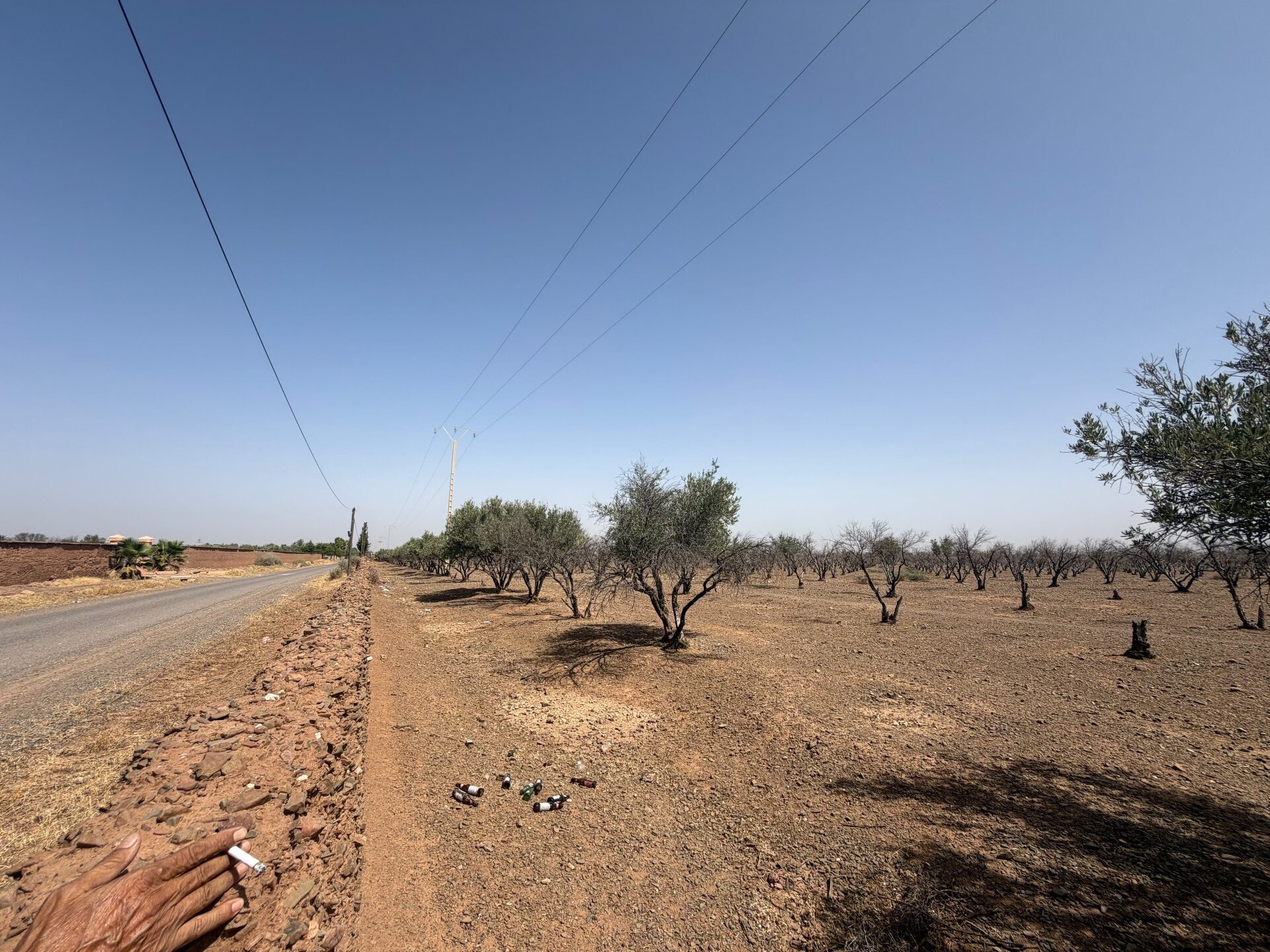 Lots de terrain — photo 3